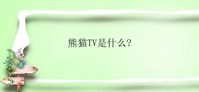 熊猫TV是什么？