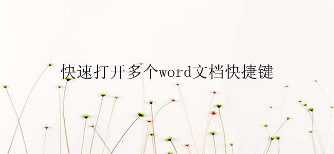 快速打开多个word文档快捷键