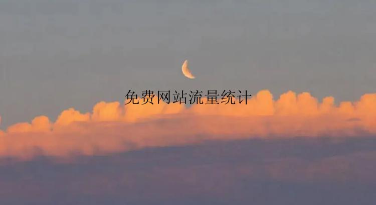 免费网站流量统计