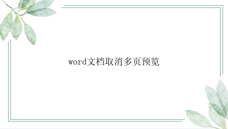 word文档取消多页预览