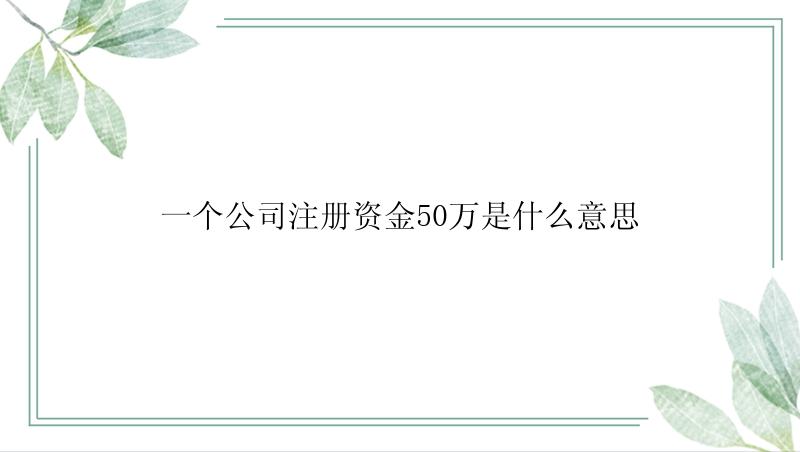 一个公司注册资金50万是什么意思