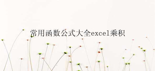 常用函数公式大全excel乘积