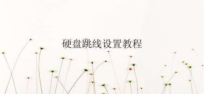 硬盘跳线设置教程
