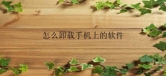 怎么卸载手机上的软件