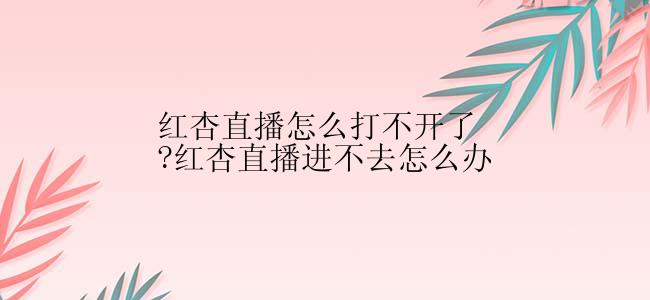 红杏直播怎么打不开了?红杏直播进不去怎么办