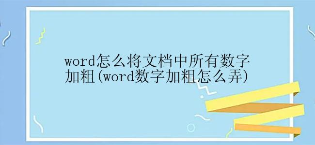 word怎么将文档中所有数字加粗(word数字加粗怎么弄)
