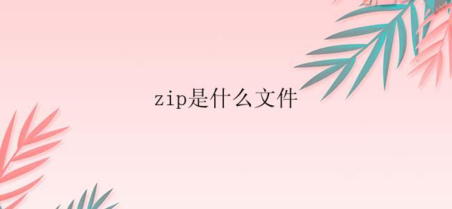 zip是什么文件