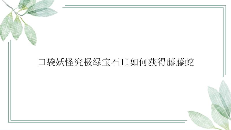 口袋妖怪究极绿宝石II如何获得藤藤蛇