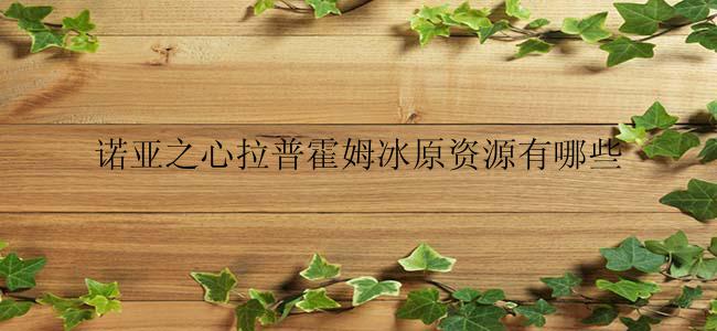 诺亚之心拉普霍姆冰原资源有哪些