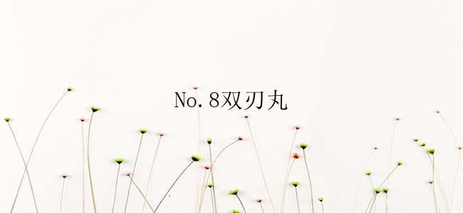 No.8双刃丸