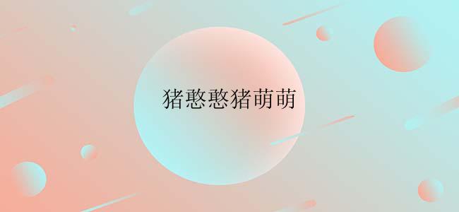 猪憨憨猪萌萌
