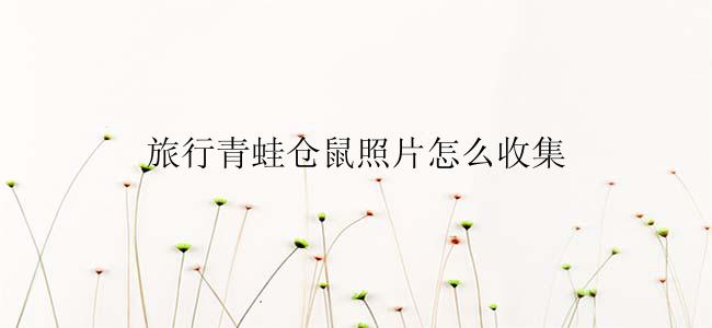 旅行青蛙仓鼠照片怎么收集