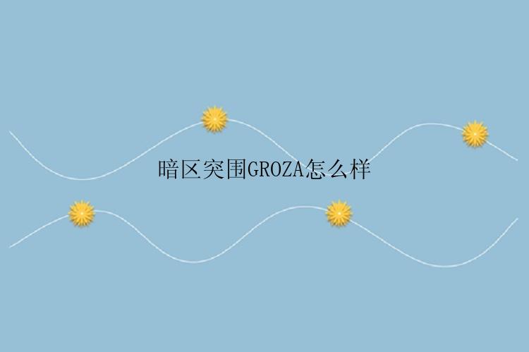 暗区突围GROZA怎么样