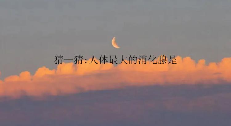 猜一猜:人体最大的消化腺是