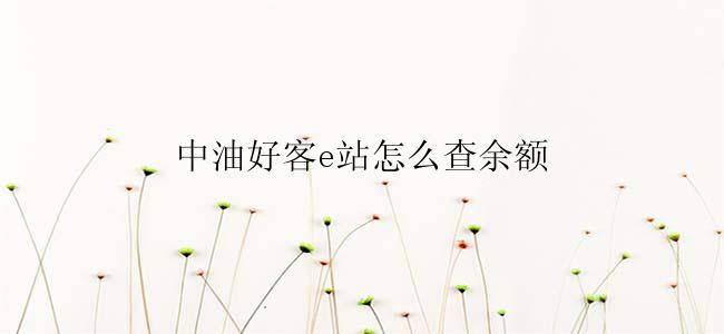 中油好客e站怎么查余额