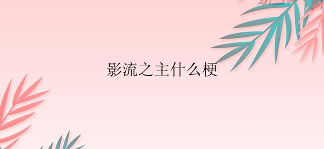 影流之主什么梗