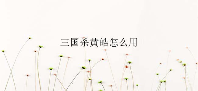 三国杀黄皓怎么用