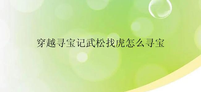 穿越寻宝记武松找虎怎么寻宝