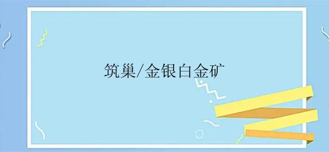 筑巢/金银白金矿