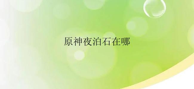 原神夜泊石在哪