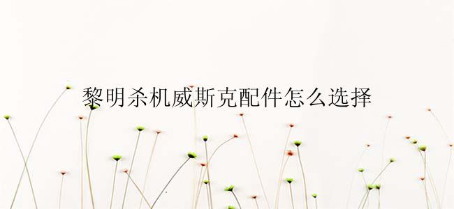 黎明杀机威斯克配件怎么选择