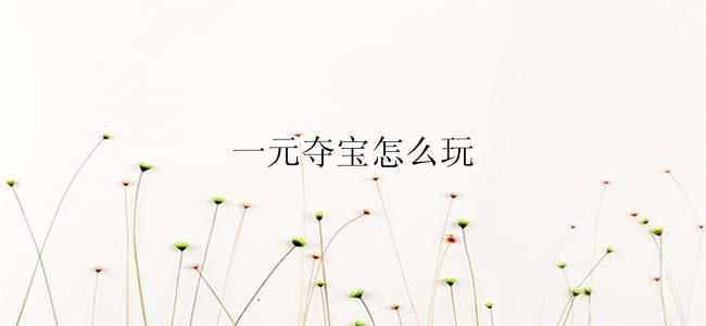 一元夺宝怎么玩