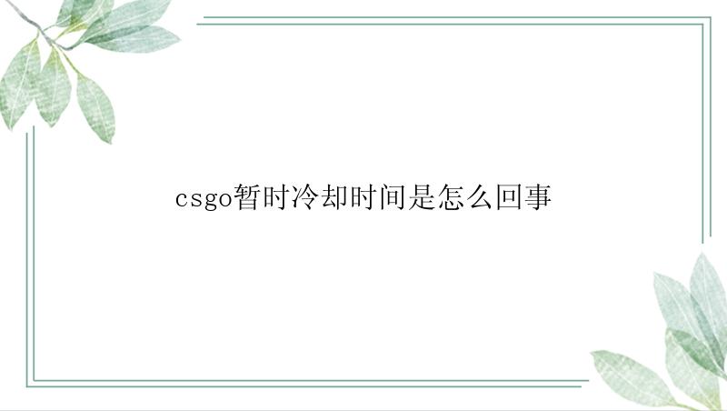 csgo暂时冷却时间是怎么回事