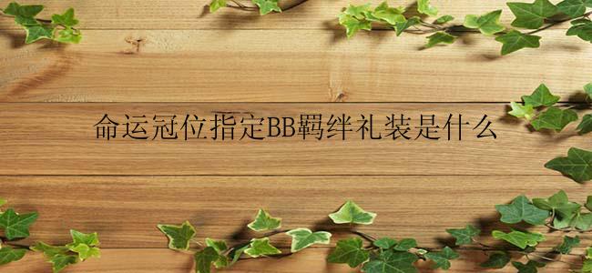 命运冠位指定BB羁绊礼装是什么