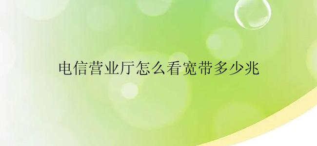 电信营业厅怎么看宽带多少兆