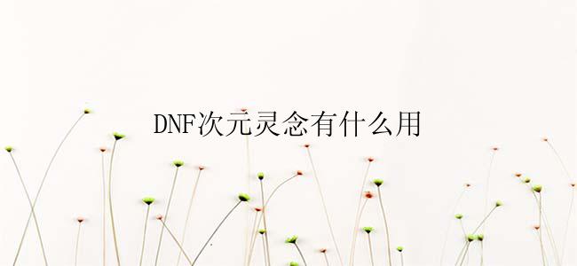 DNF次元灵念有什么用