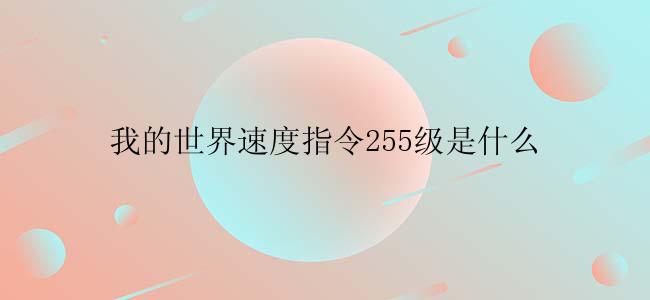 我的世界速度指令255级是什么