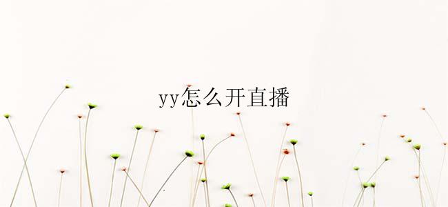 yy怎么开直播