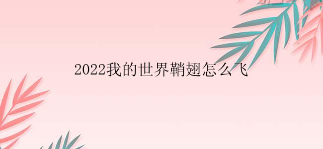 2022我的世界鞘翅怎么飞