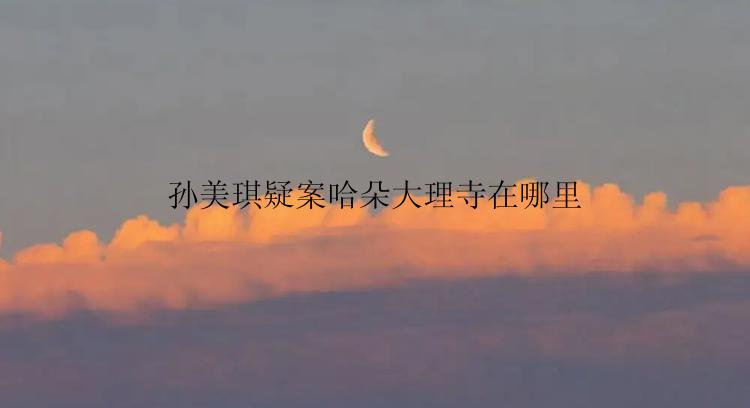 孙美琪疑案哈朵大理寺在哪里
