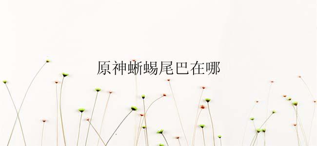 原神蜥蜴尾巴在哪