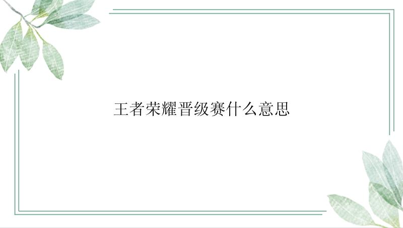 王者荣耀晋级赛什么意思