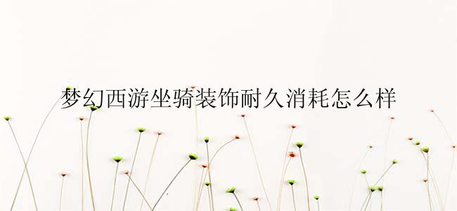 梦幻西游坐骑装饰耐久消耗怎么样