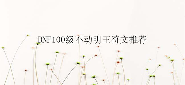 DNF100级不动明王符文推荐