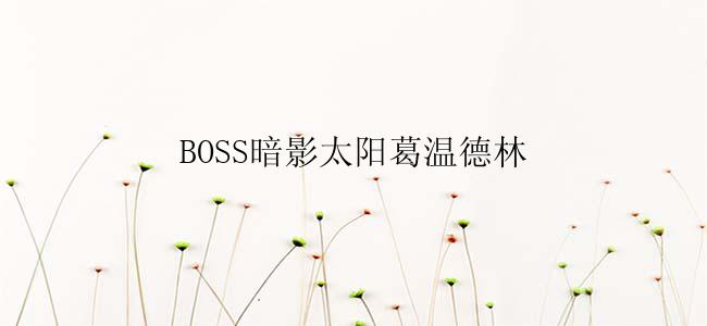 BOSS暗影太阳葛温德林