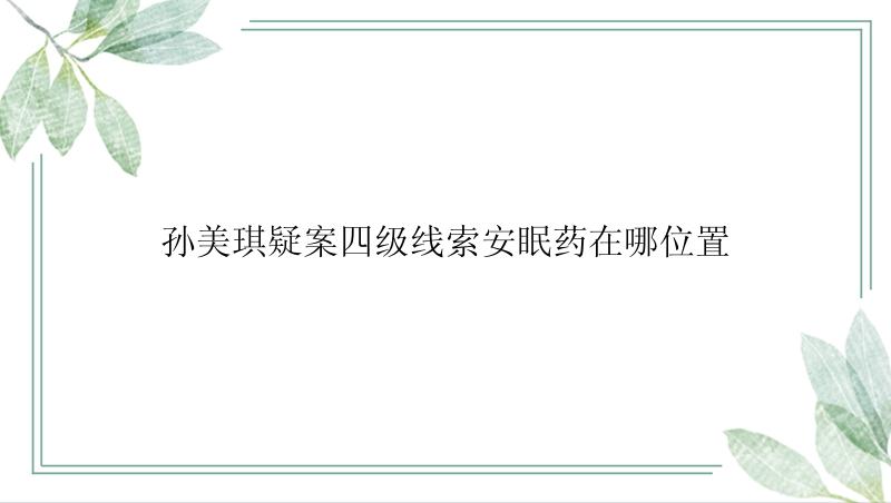 孙美琪疑案四级线索安眠药在哪位置