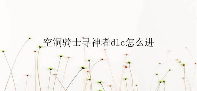 空洞骑士寻神者dlc怎么进