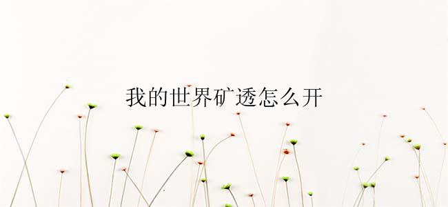我的世界矿透怎么开