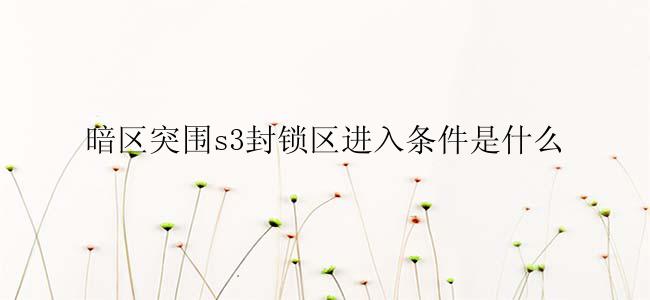 暗区突围s3封锁区进入条件是什么
