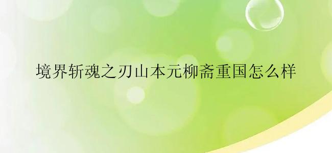 境界斩魂之刃山本元柳斋重国怎么样