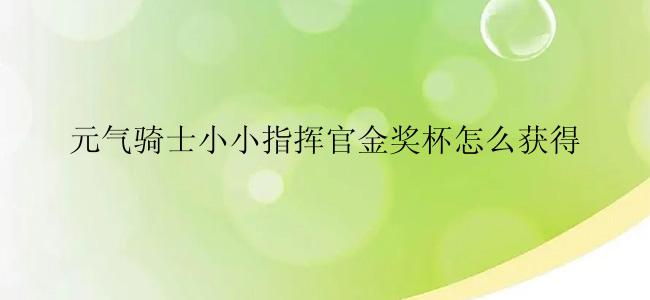 元气骑士小小指挥官金奖杯怎么获得