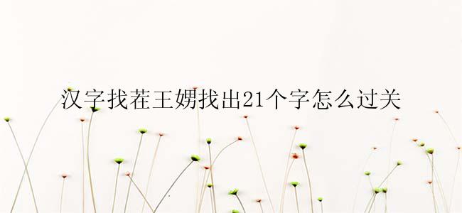 汉字找茬王娚找出21个字怎么过关