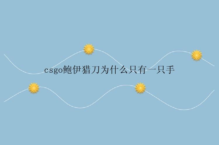 csgo鲍伊猎刀为什么只有一只手