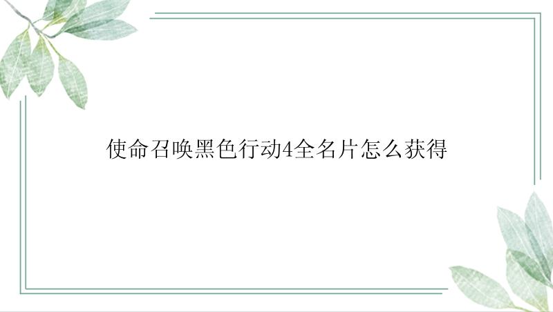 使命召唤黑色行动4全名片怎么获得