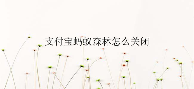 支付宝蚂蚁森林怎么关闭