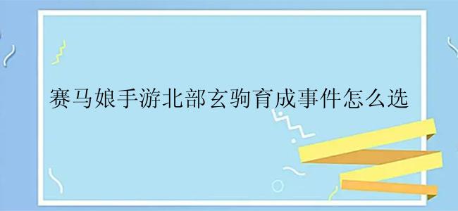 赛马娘手游北部玄驹育成事件怎么选